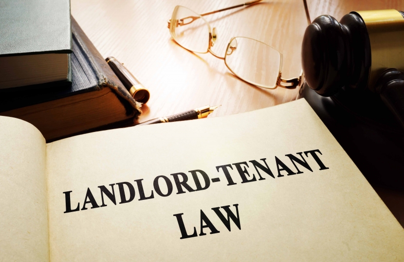 Landlord Tenant Law