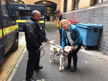 Dog Unit Visit